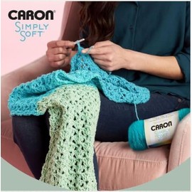 Caron Simply Soft - Hilo de fiesta, 3 onzas, calibre 4, color platino