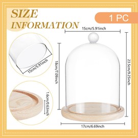 BENECREAT 170x235mm Glass Display Dome, Cloche with Round Top Handle, Everlasting Flower Glass Cover with Wooden Base for Specimens Plants DIY Decor