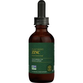 Global Healing USDA Organic Zinc Supplements Liquid - Pure Vitamin Drops for Immune System Boost, Hormone Balance, and Healthy Aging - Natural, Vegan-Friendly, Non-GMO, Organic Zinc Vitamins (2 Fl Oz)