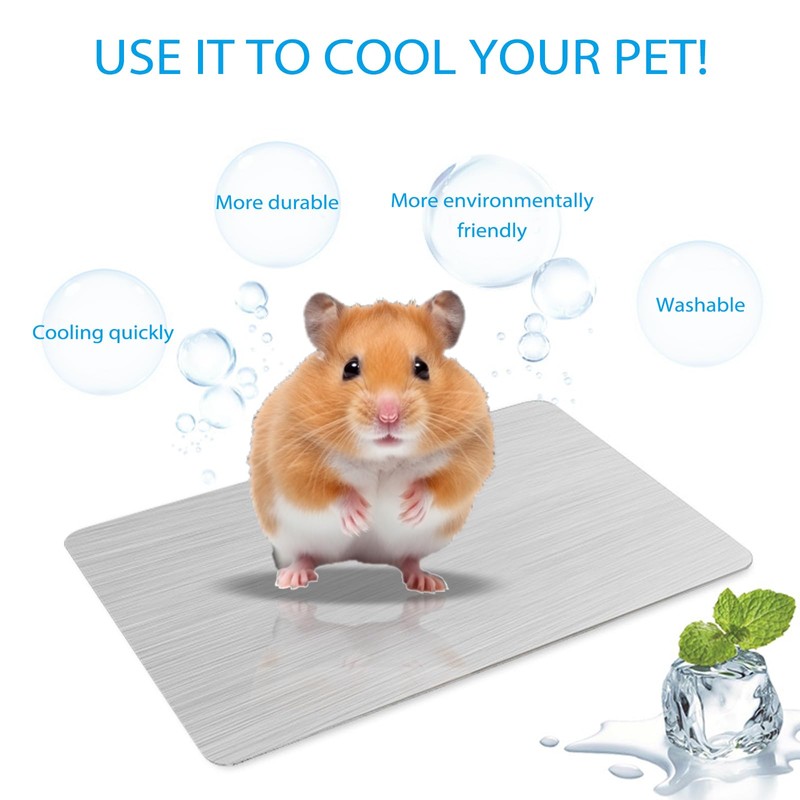 DAVBNM 2 PCS Rabbit Cooling Pad, 12 * 8cm Hamster