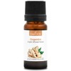 ZENZERO (Zingiber officinale) BIO - 10mL - Olio Essenziale di