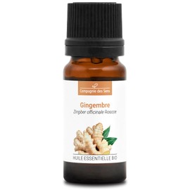 ZENZERO (Zingiber officinale) BIO - 10mL - Olio Essenziale di Qualità Premium - 100% Puro, Naturale, Garantito ChromaCert® - Chemiotipizzato & Integrale