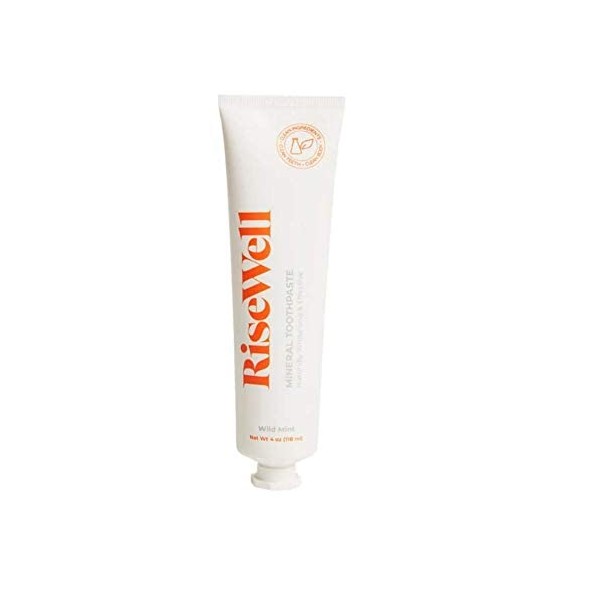 Japanese Style Toothpaste, RiseWell, Natural