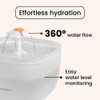 Noerden Pawquench Pet Water Fountain, Ultra Quiet, 2L Capacity