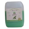 Benne Naturals Shampoo Bergamota P/ Crecimiento Capilar Halopecia 4 Mayoreo