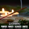 Blunteffects 10x Assorted Scents Blunt Effects Incense 10 PACKS 11"