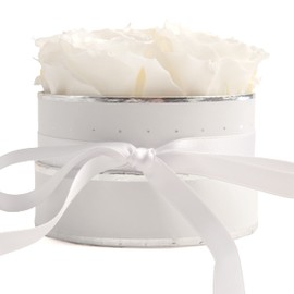 Rosmarie Schulz Heidelberg Rose Box, White Round Infinity Rose, Flower Box Preserved Rose