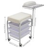 Movable Spa Portable Cart, Beauty Salon Nail Cart with Three