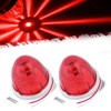 Ledvillage 2Pcs Red Watermelon LED Light with Stainless Steel Bracket,