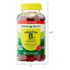 Spring Valley Vitamina B12 3000 Mcg Con 100 Gomitas Veg.