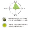 Senjaso Gyokuro White Fold with Matcha Tea 3.5 oz (100