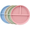 4 Pcs Portion Control Plate,9 Inch Divided Plates for Adults