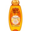 Garnier Whole Blends Shampoo with Moroccan Argan & Camellia Oils