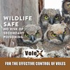 VoleX - Effective Against All Species of Voles. Safe for