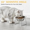 AIHSUMC Elevated Cat Bowls 3 Pack, 15° Tilted Raised Cat