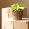 PRATYAHARA Straw Weaving Flower Plant Pot Wicker Basket Rattan Flowerpot