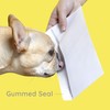 500#8 Gummed Double Window Security Check Envelopes - Designed for