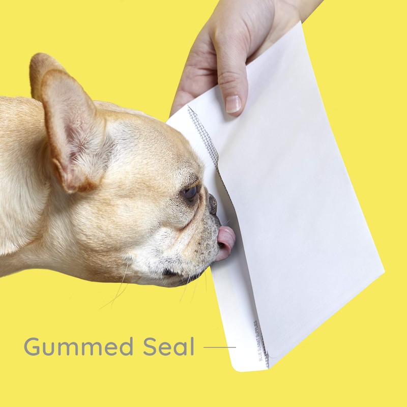 500#8 Gummed Double Window Security Check Envelopes - Designed for