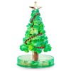 Playwrite Magic Growing Christmas Tree