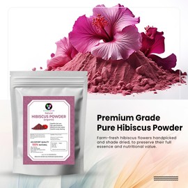 Aayuleubeda Badi Care ABC Hibiscus Powder Natural And Organic For Hair,Skin And Women's Health / (100G / (0.2 Lb) / 3.5 Ounces) - Resealable Zip Lock Pouch