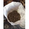 Semilla De Moringa 1 Kg, Envio Gratis!