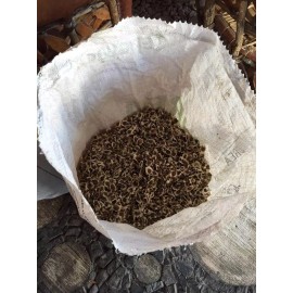 Semilla De Moringa 1 Kg, Envio Gratis!