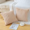 Soleebee Set of 2 Throw Pillow Covers Soft Cozy Velvet