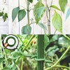 65.5 Feet Twist Ties for Climbing Plants Green Gear Ties