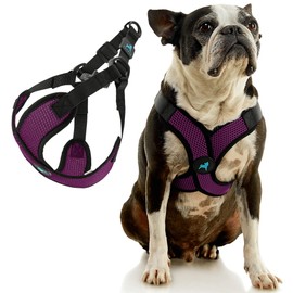 Gooby Comfort X Step in Lite Dog Harness - Choke Free, Escape Free with Light Breathable Mesh - Step in Dog Harness for Small and Medium Dogs - Quick Release Buckle, Metal D-Rings - Purple, X-Small