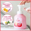 Arau Baby Foaming Full Body Soap, Moisturizing, 15.2 fl oz
