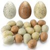 SiliFine 18 Pcs Easter Speckled Eggs 2.4 in Plastic Speckled