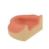 Ultrassist Dental Implant Training Maxillary Edentulous Model, Simplified Maxilla with