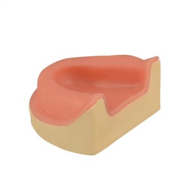 Ultrassist Dental Implant Training Maxillary Edentulous Model, Simplified Maxilla with Soft Tissue, Great Training Tooth for Implant Practice