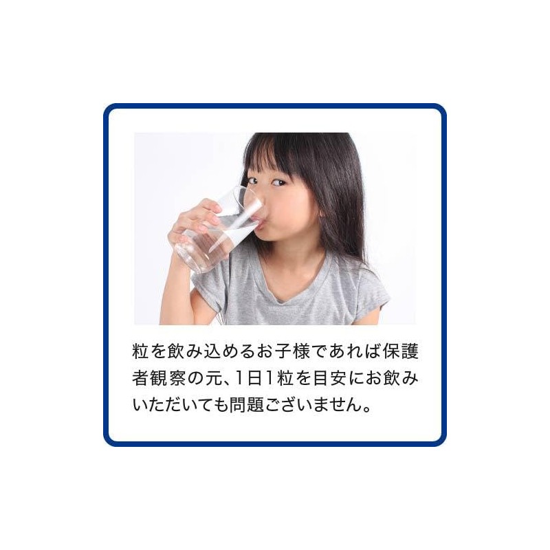 【医師監修】 ホスファチジルセリン 高配合 6,000mg イチョウ葉 2,739mg PS ZONE サプリ サプリメント