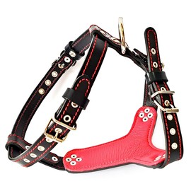 Bestia studded leather harness. French Bulldog size. 100% leather. Handmade in Europe