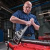 RIDGID 31105 Model 824 Aluminum Straight Pipe Wrench, 24-inch Plumbing