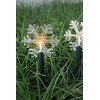 OOLALOO Solar LED Snowflake Pathway Lights for Winter Christmas Decorations