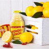 Wonder Lemon Organic Lemon Basil Jalapeno Cold Pressed Juice, 8.45oz