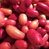 Park Seed Clancy F1 Pelleted Potato Seeds, Includes 25 Seeds in a Pack