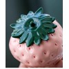 123Arts Container Strawberry Candy Dish Ceramic Food Storage with Seal