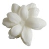 MATHILDE M. Sublime Jasmine Set of 3 Scented Wax Fondant