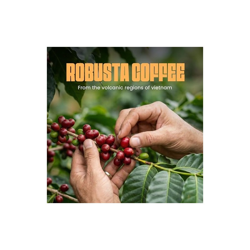 Blu Ore Black Obsidian Robusta Coffee Beans – Single Origin