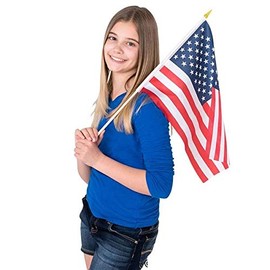 Rhode Island Novelty 12"x 18" American Flag