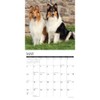 Collies 2026 12" x 12" Wall Calendar