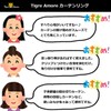 Tigre Amore Sliding Rings Curtain Clips Curtain Ring Liner (Set
