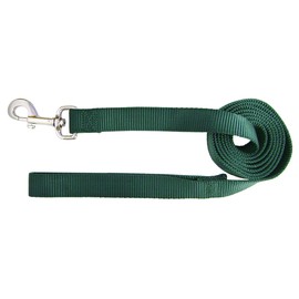 Hamilton Single Thick Nylon Dog Lead