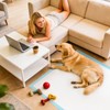 100 Count Puppy Pads- 30"x36", Extra Large Pee Pads for