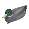 Mallard Decoys, Duck Floater Hunting Decoy Plastic Simulated Duck Garden
