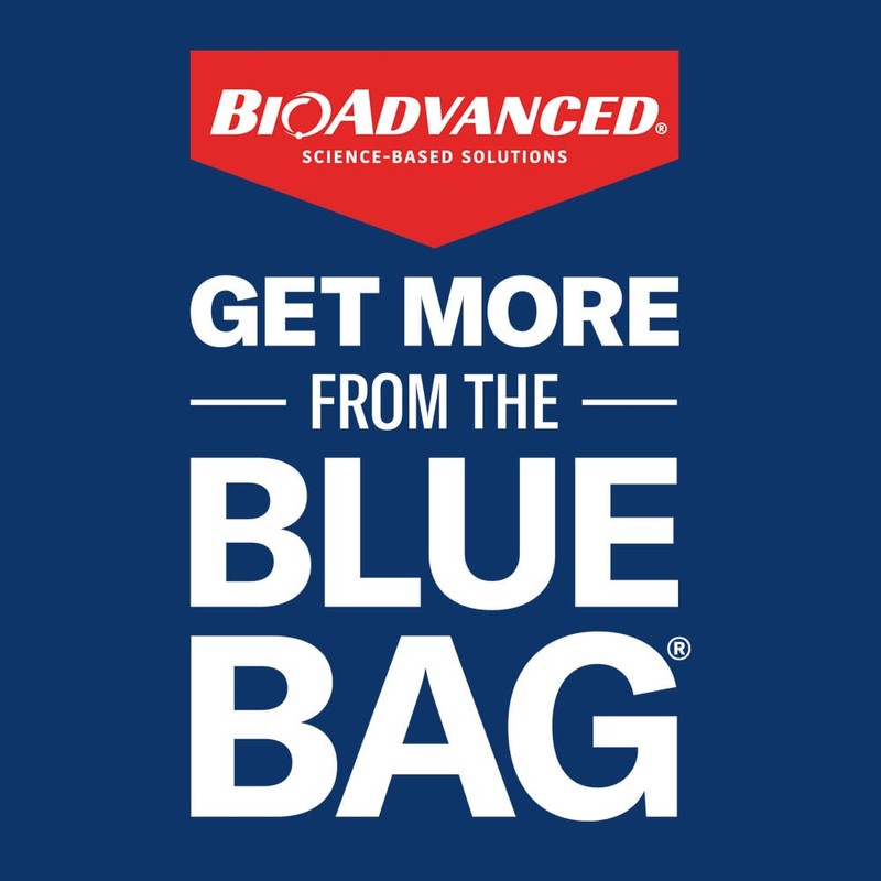 BioAdvanced Season Long Grub Control Plus Turf Revitalizer, Granules, 12