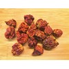 Trinidad Scorpion Dried Chilli Pods (2nd Hottest in The World)